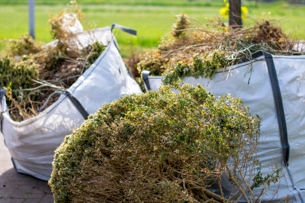 Trusted Brighton, TN Junk Removal Services Experts